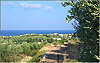 Sfakaki (Rethymnon): Blick von oben